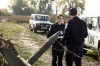 whistleblower 001.jpg